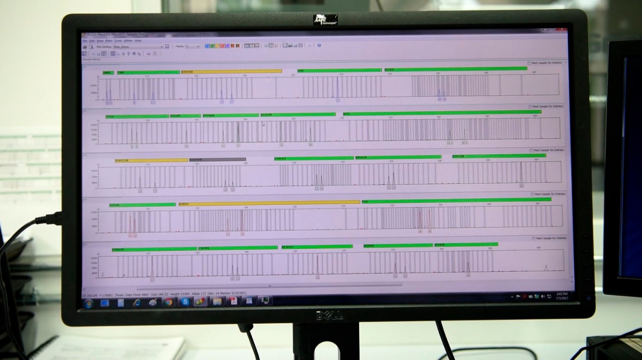 Perfiles genéticos mostrados en una pantalla dentro del laboratorio de ADN México ubicado en Morelia, Michoacán. Foto: Germán Canseco/Procesofoto